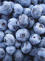 blueberries